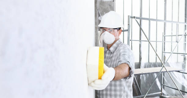 Best Emergency Mold Remediation  in USA